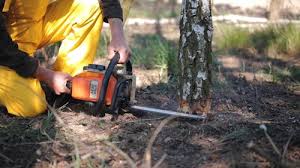 Best Commercial Tree Services  in Cudahy, WI