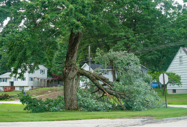 Best Seasonal Cleanup  in Cudahy, WI